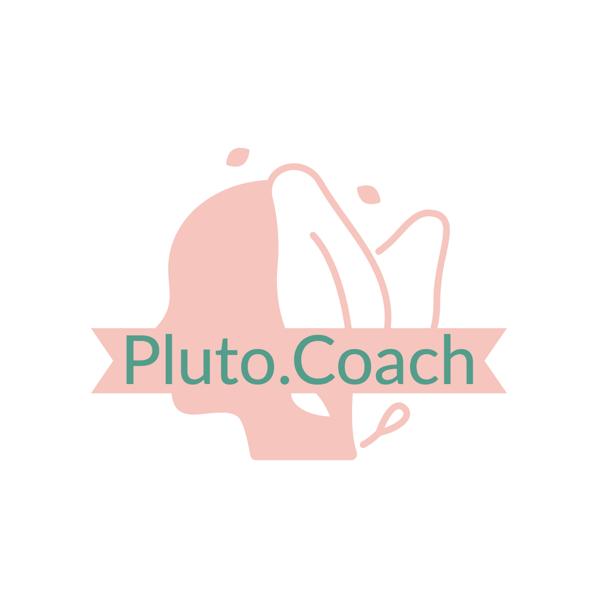 Pluto Coach Logo